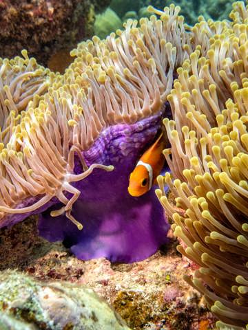 Learn about conservation