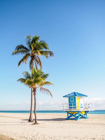Surf, swim, and paddleboard
