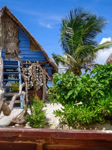 Fresh lagoon seafood specialities
