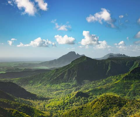 Explore Black River Gorges National Park