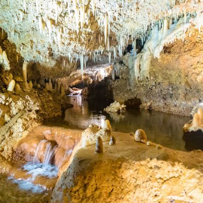 Explore Harrison’s Cave