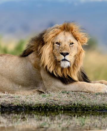 South Africa
