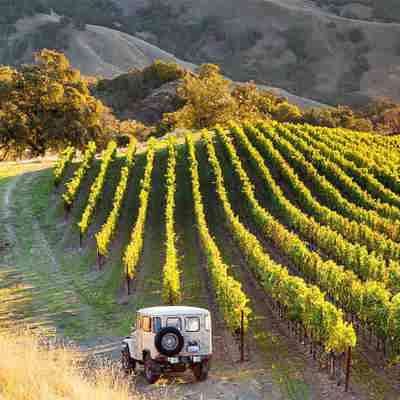 Taste and toast in wine country