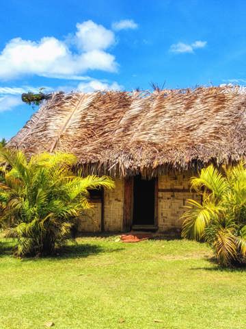 Village‑style lovo feasts