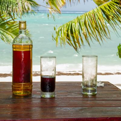 Visit Chamarel and the southwest 