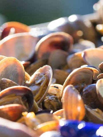 Ethically sourced seafood