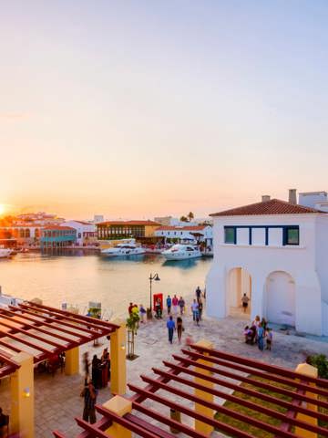Modern gastronomy in Limassol 