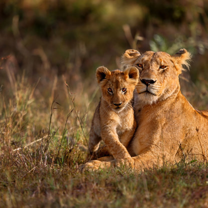 Kenya