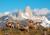 South America Holiday Guide: The Best Places and Ways to Travel