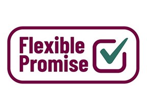 Flexible Promise
