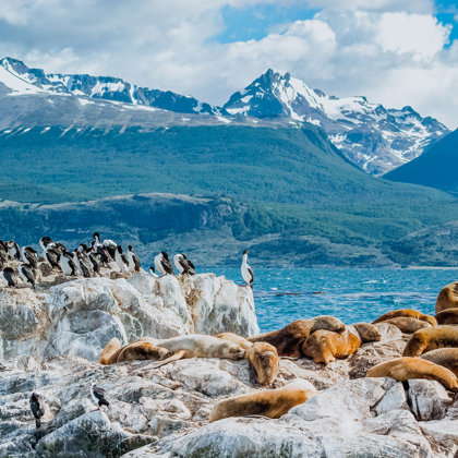 Falklands