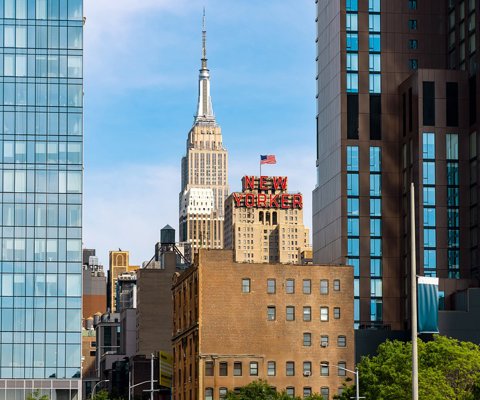 The New Yorker