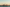 Auckland Skyline