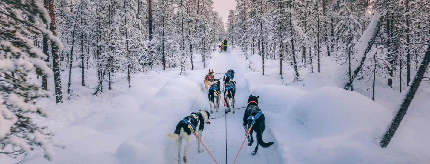 Finish Lapland Ss