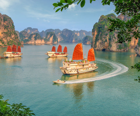 Cruise Halong Bay