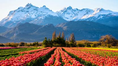 Argentina