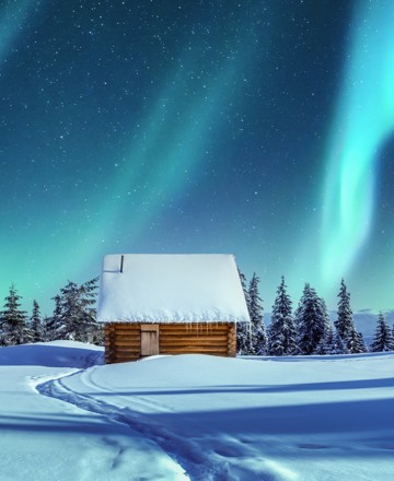 Winter