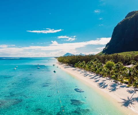 Cape Town to Mauritius: wine, wildlife & island bliss