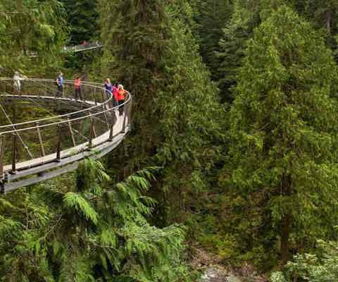 Adventure on the North Shore