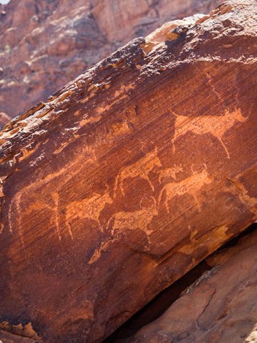 Discover ancient rock art at Twyfelfontein