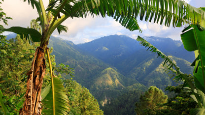 Jamaica