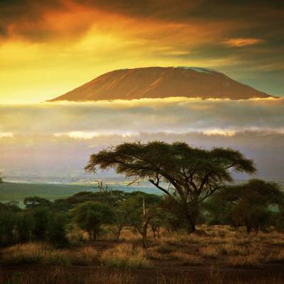 Bush to beach: a Tanzania & Zanzibar family adventure