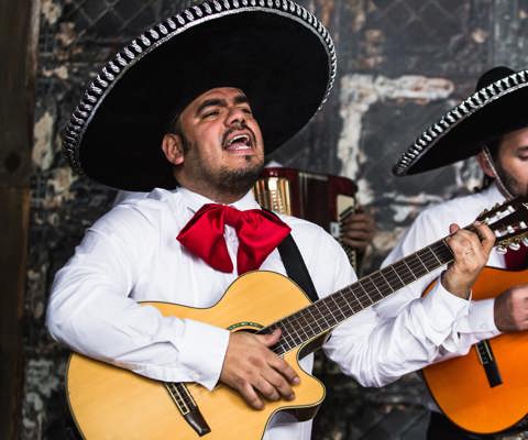 Discover Mexico City’s culture