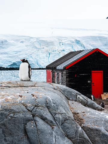 Visit Port Lockroy research station