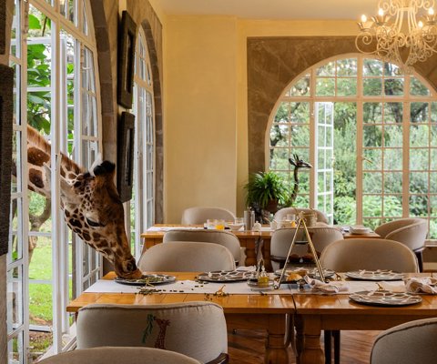 Giraffe Manor