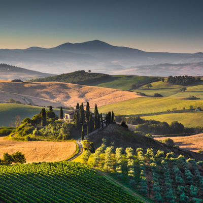 Tour wine country