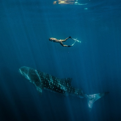 Visit Ningaloo Reef