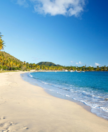 Caribbean escape