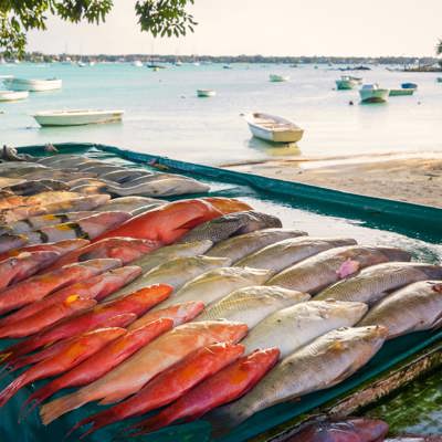 Seafood on the beach