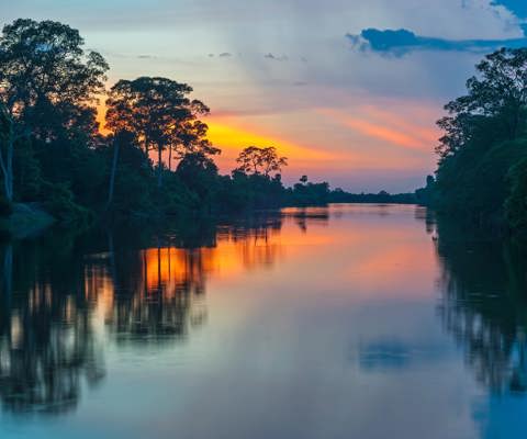 Cruise the mighty Amazon River