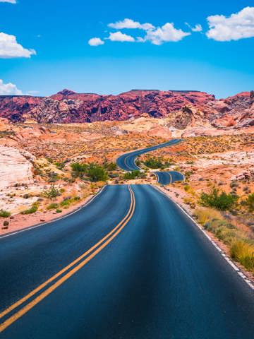 Neon nights and desert landscapes