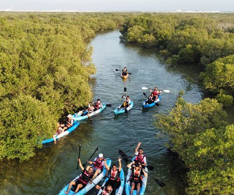 Kayak through the mangrove forests