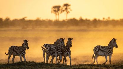 Botswana