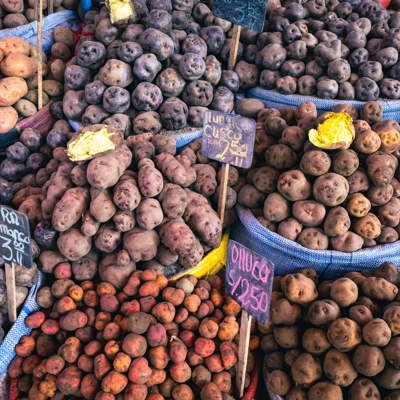 Amazon flavours: river fish, tropical fruit, and jungle herbs