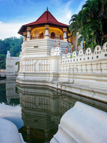 Sri Lanka wellness journey: Ayurveda, yoga & coastal calm