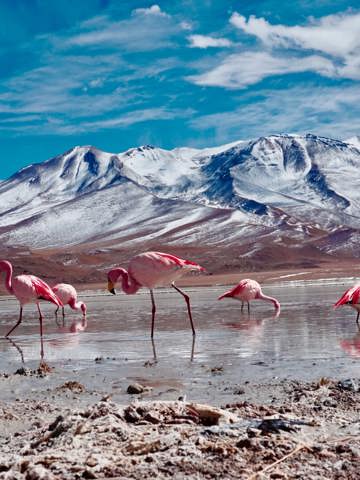 Adventure Through Atacama’s Desert Landscapes