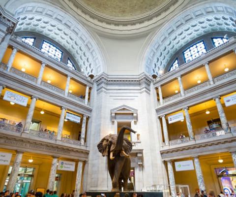 Visit the huge array of Smithsonian museums
