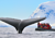 Where the Ice Leads: An Expedition Cruise to Antarctica