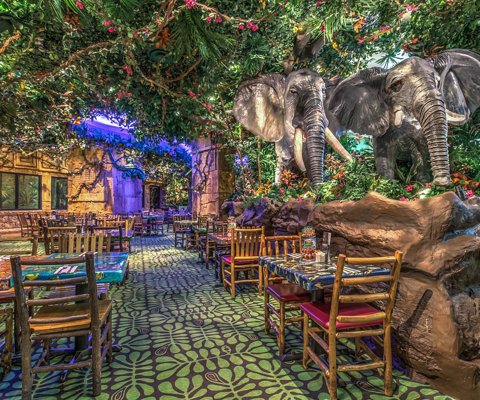 Unique themed experiences