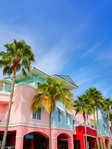 Art Deco, Everglades, and Keys
